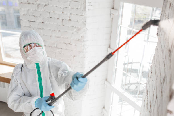 Best Asbestos and Lead Testing During Mold Inspection  in Walhalla, SC