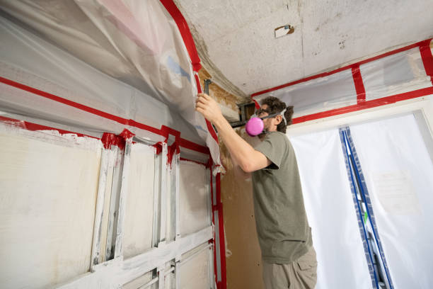 Mold Remediation for Vacation Homes in Walhalla, SC